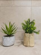 Edgar Suites Paris Louvre - Richelieu 2