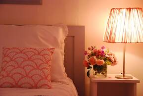 Ombre Rose