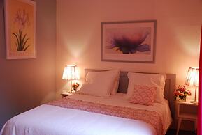 Ombre Rose