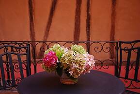 Ombre Rose