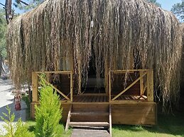 Green Pine Beach & Bungalows