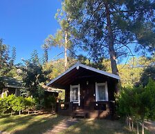 Green Pine Beach & Bungalows