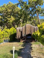 Green Pine Beach & Bungalows