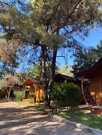 Green Pine Beach & Bungalows