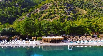 Green Pine Beach & Bungalows