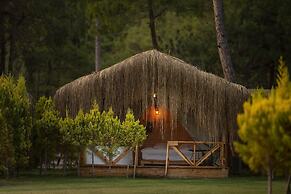Green Pine Beach & Bungalows