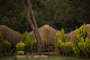 Green Pine Beach & Bungalows