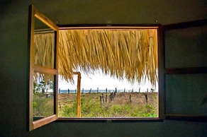 Wild Waves Surf-House