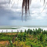 Wild Waves Surf-House