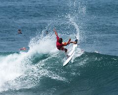 Wild Waves Surf-House