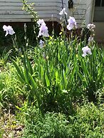 Whole Hearts Bed and Breakfast