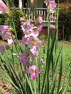 Whole Hearts Bed and Breakfast