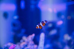 Kanazawa Station Hotel