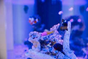 Kanazawa Station Hotel