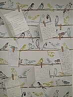 Nephiria's Art House, Under the Acropolis