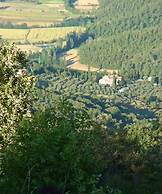 Borgo del Senatore