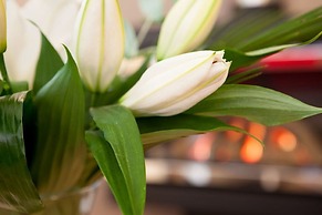 Heads Nook Hall Cottage