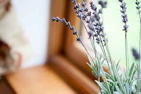 Heads Nook Hall Cottage