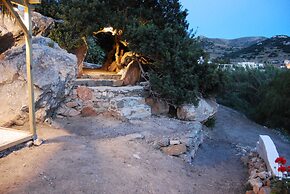 Maistrali Studio Ponente