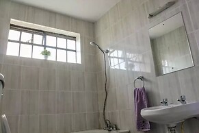 The Serene Apartment