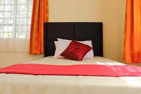 The Serene Apartment