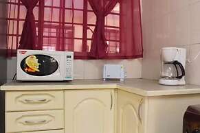 The Serene Apartment