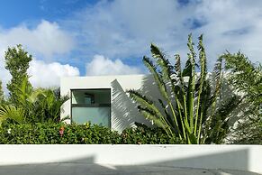 Calichi at Picture Point