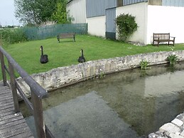 Chambre d'hôtes Les Cygnes Noirs