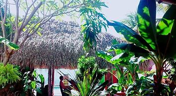 Hotel Tunco Lodge Village