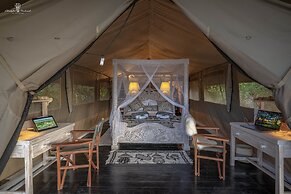 Mara Major Camp