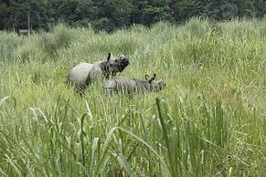 Rhino Land Jungle Lodge
