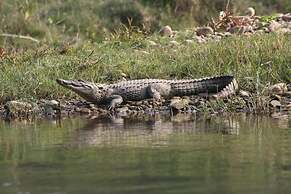 Rhino Land Jungle Lodge