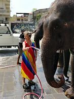 Rhino Land Jungle Lodge