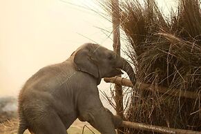 Rhino Land Jungle Lodge