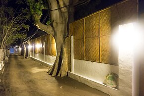 Cotton Tree Cottages