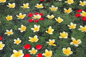 Graha Sandat Villas by Pramana Villas