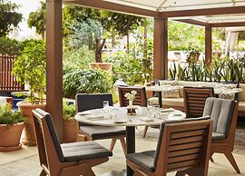 The Abu Dhabi Edition