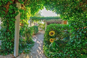Casal del Borgo