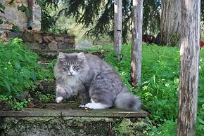 Il Daino Bianco Country Hotel