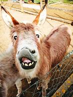 Il Daino Bianco Country Hotel