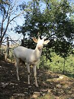 Il Daino Bianco Country Hotel