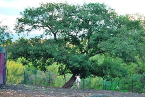 Il Daino Bianco Country Hotel