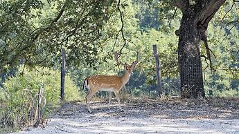 Il Daino Bianco Country Hotel