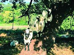 Il Daino Bianco Country Hotel