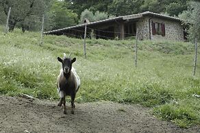 Il Daino Bianco Country Hotel
