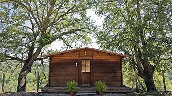 Il Daino Bianco Country Hotel