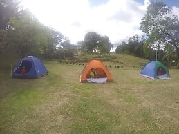 Al Hamra Jungle Resort - Adults Only