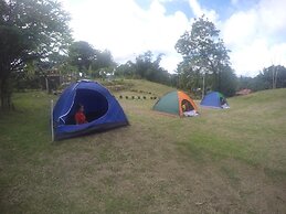 Al Hamra Jungle Resort - Adults Only