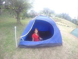 Al Hamra Jungle Resort - Adults Only