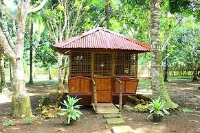 Al Hamra Jungle Resort - Adults Only